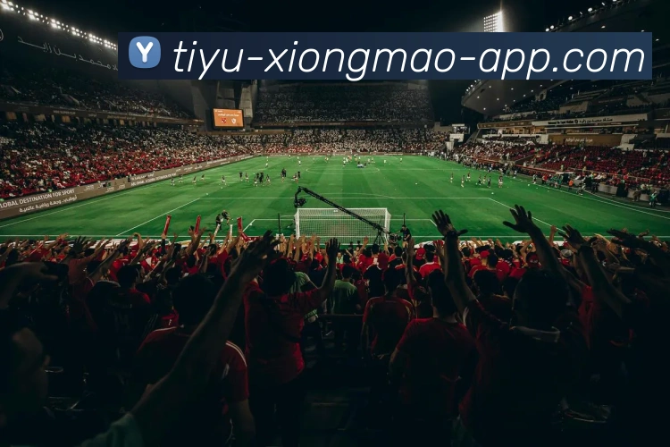 熊猫体育平台生态图