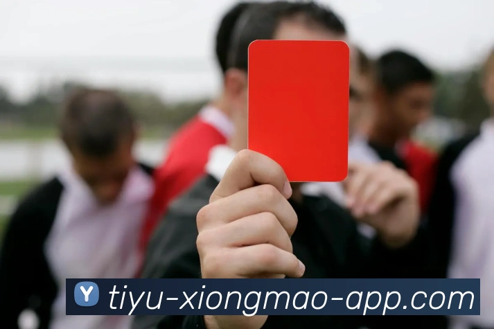 熊猫体育APP 封面图