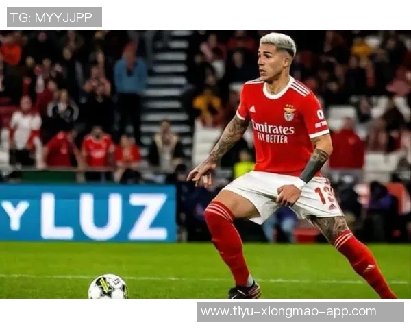 斯特拉斯堡对麦卡蒂表现出浓厚兴趣冬窗有望引进他